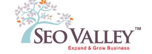 SEO Valley Solutions Private Limited